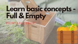 Learn basic concept (Full vs Empty) - Free Printables Pack (Pre-K/ Kindergarten)