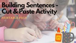 Build and Write Sentences - Free Printables Pack